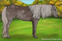 Horse Color:Silver Black Sabino 
