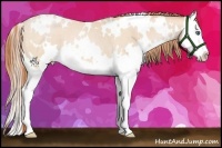 Horse Color:White Spotted Buckskin Roan Pearl Splash 
