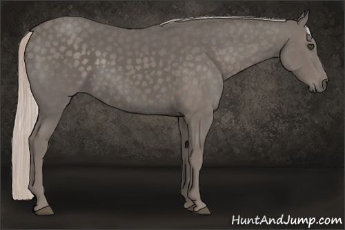 Horse Color:Silver Black 