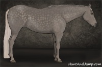 Horse Color:Silver Black 