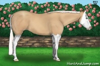 Horse Color:Silver Classic Champagne Splash 