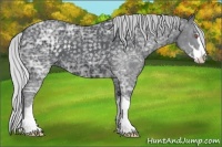 Horse Color:Silver Black Chinchilla Ice Sabino 
