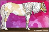 Horse Color:White Spotted Silver Classic Champagne Dun Rabicano 