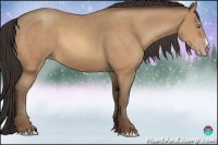 Horse Color:Amber Champagne 