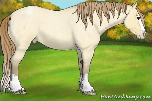 Horse Color:Amber Cream Champagne Roan Dun Splash Varnish