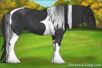 Horse Color:Black Tobiano