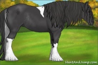 Horse Color:Smoky Black Tobiano Rabicano