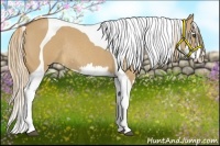 Horse Color:Red Dun Roan Splash Tobiano Frame Rabicano