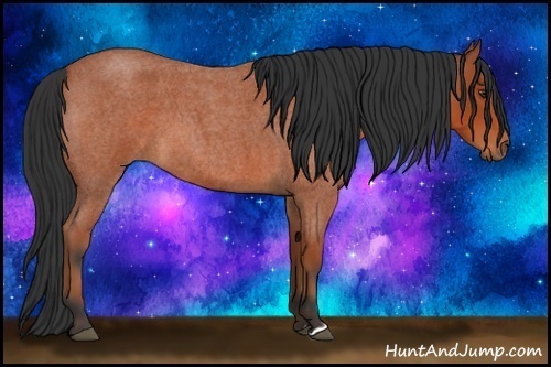Horse Color:Bay Roan 