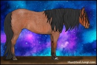 Horse Color:Bay Roan 