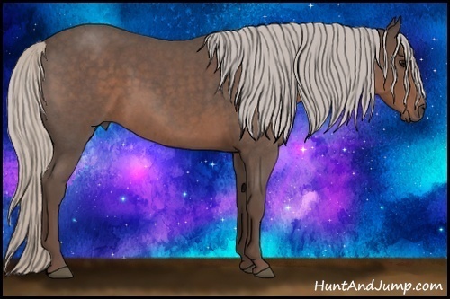 Horse Color:Silver Blue Roan 