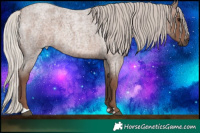 Horse Color:Silver Blue Roan