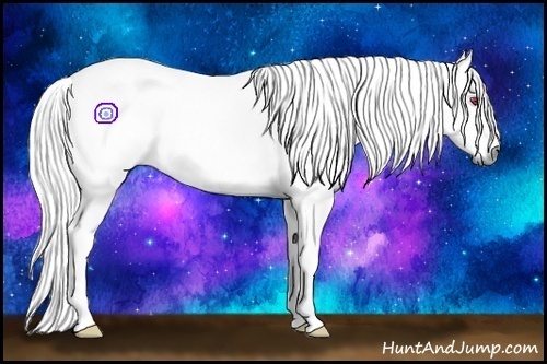 Horse Color:Chestnut Chinchilla 