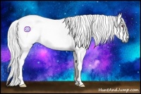 Horse Color:Chestnut Chinchilla 