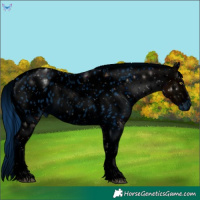 Horse Color:ERROR: UNKNOWN ANOMALY