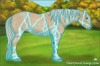 Horse Color:Thunderstruck Palomino Roan 