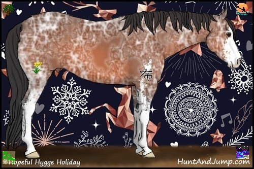 Horse Color:Bay Ice Sabino 