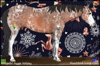 Horse Color:Bay Ice Sabino