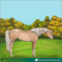 Horse Color:Chocolate Palomino Pearl