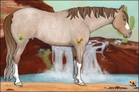 Horse Color:Brown Roan Pearl Rabicano