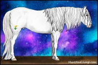 Horse Color:Silver Black Splash Appaloosa