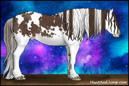 Horse Color:White Spotted Liver Chestnut Splash 