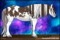 Horse Color:White Spotted Liver Chestnut Splash 