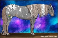 Horse Color:White Spotted Liver Chestnut Varnish Rabicano 