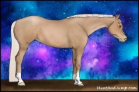 Horse Color:Silver Black Pearl