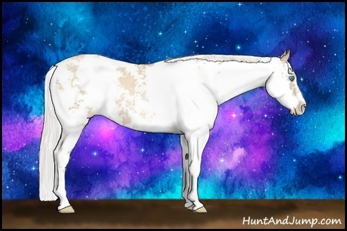 Horse Color:Silver Smoky Black Pearl Sabino 