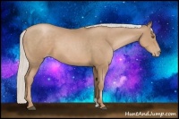 Horse Color:Silver Black Pearl Sabino 