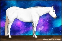 Horse Color:Black Pearl Sabino Varnish 