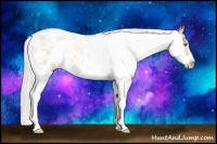 Horse Color:Silver Bay Pearl Sabino 