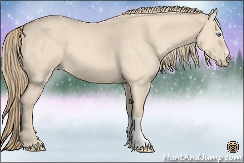 Horse Color:Perlino 