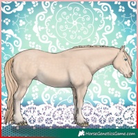 Horse Color:Perlino 