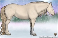 Horse Color:Perlino 