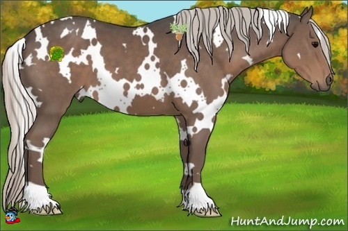 Horse Color:White Spotted Silver Black 