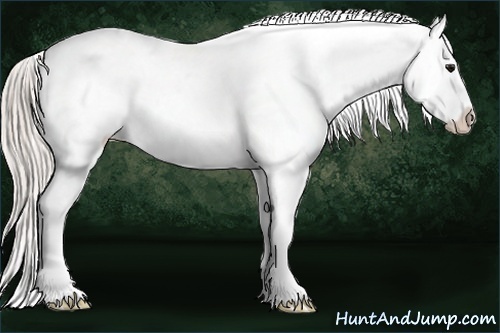 Horse Color:White Spotted Silver Black Splash Appaloosa Brindle