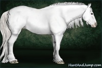 Horse Color:White Spotted Silver Black Splash Appaloosa Brindle