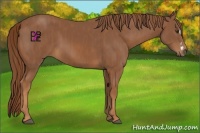 Horse Color:Chestnut Splash Frame Brindle