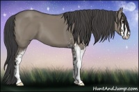 Horse Color:Smoky Grullo Sabino