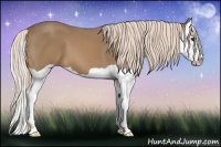 Horse Color:Palomino Splash 