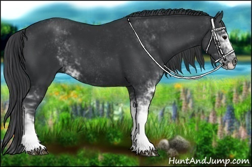 Horse Color:Black Sabino