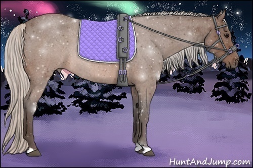 Horse Color:Silver Brown Roan 