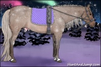 Horse Color:Silver Brown Roan