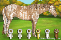 Horse Color:Gray Perlino Roan Varnish Rabicano  Brindle