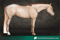 Horse Color:Sable Champagne Pearl