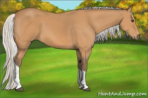 Horse Color:Silver Bay Tobiano