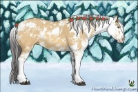 Horse Color:Buckskin Dun Sabino