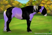 Horse Color:Watercolor Bay Splash Tobiano